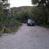 Review photo of Lower Lehman Campground — Great Basin National Park by Dexter I., July 17, 2022