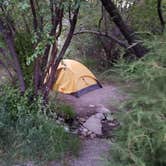 Review photo of Lower Lehman Campground — Great Basin National Park by Dexter I., July 17, 2022