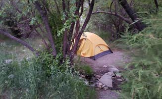 Dexter I.'s photo at Lower Lehman Creek Campground — Great Basin National Park in Nevada