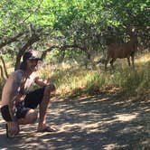 Review photo of Morefield Campground — Mesa Verde National Park by Ange G., July 19, 2018