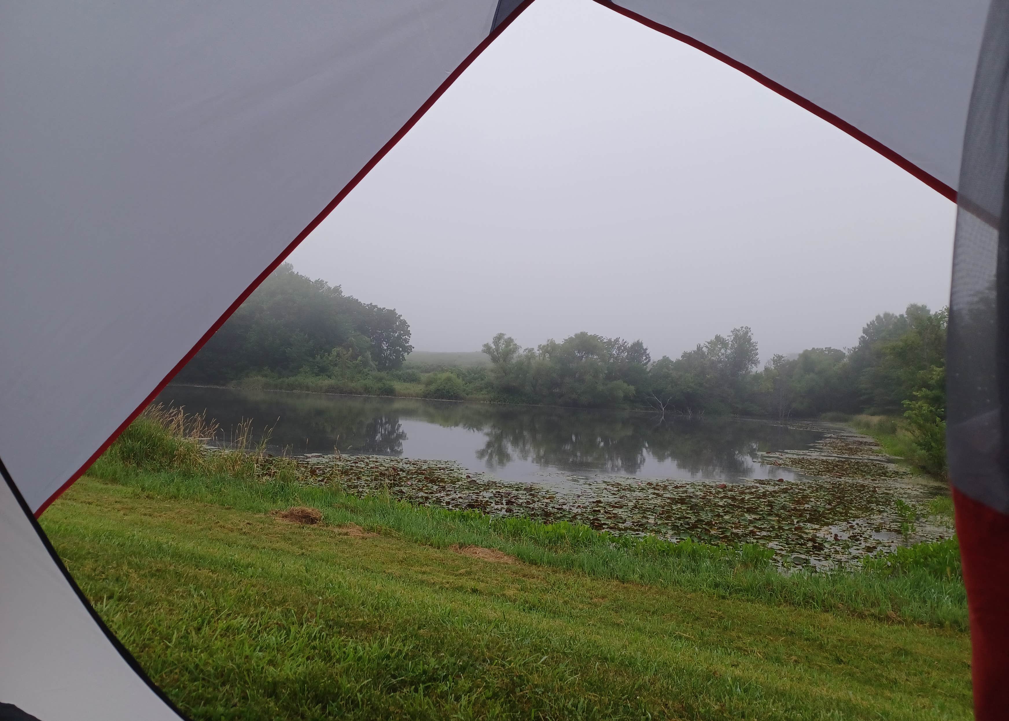 Bonanza Conservation Area Camping The Dyrt