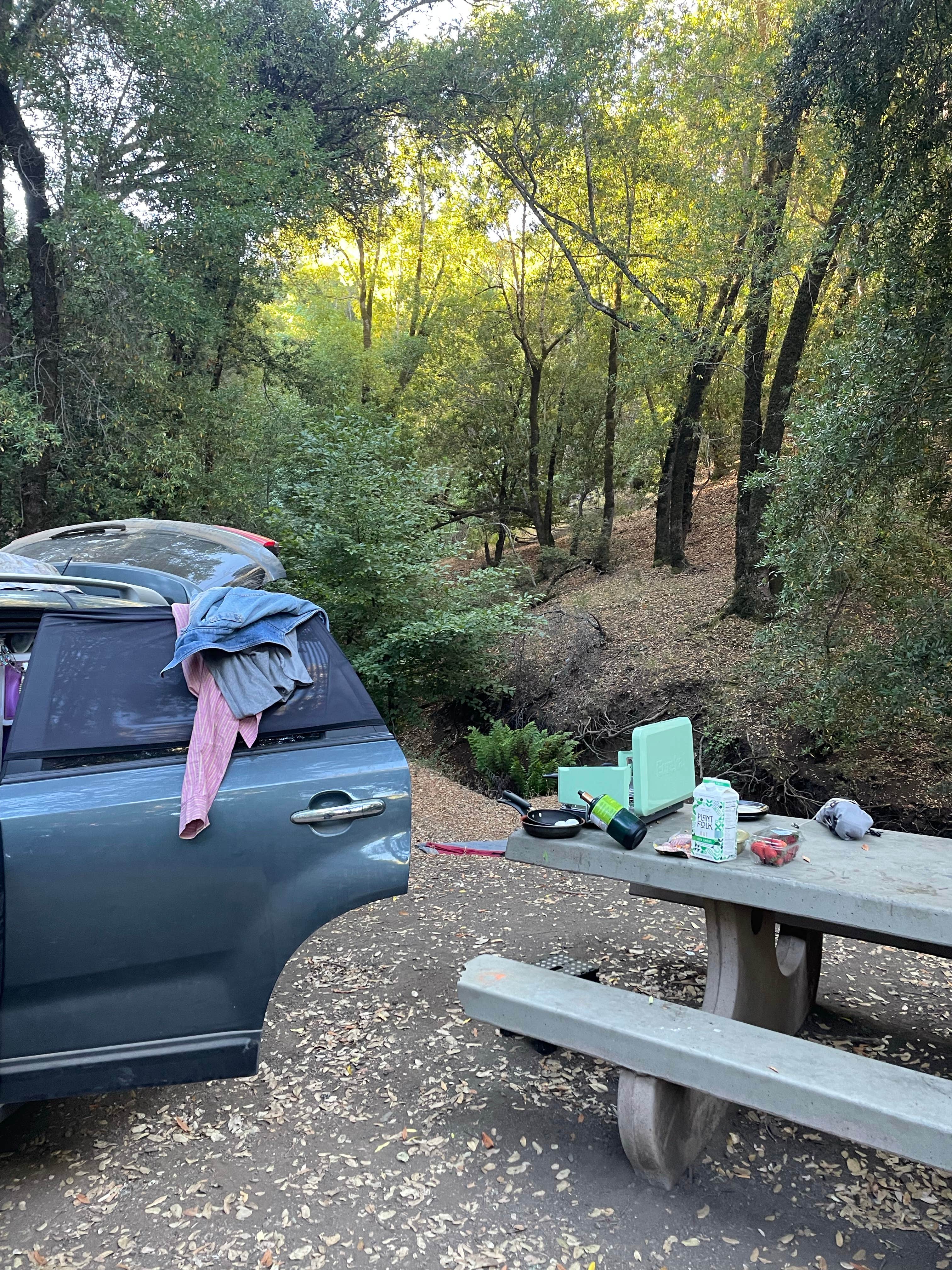 Camper-submitted photo at BLM Sheldon Creek near Sebastopol, CA