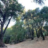 Review photo of BLM Sheldon Creek by Summer A., July 17, 2022