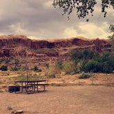 Review photo of Goose Island Campground by Michelle  F., July 19, 2018