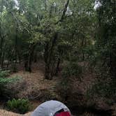 Review photo of BLM Sheldon Creek by Summer A., July 17, 2022