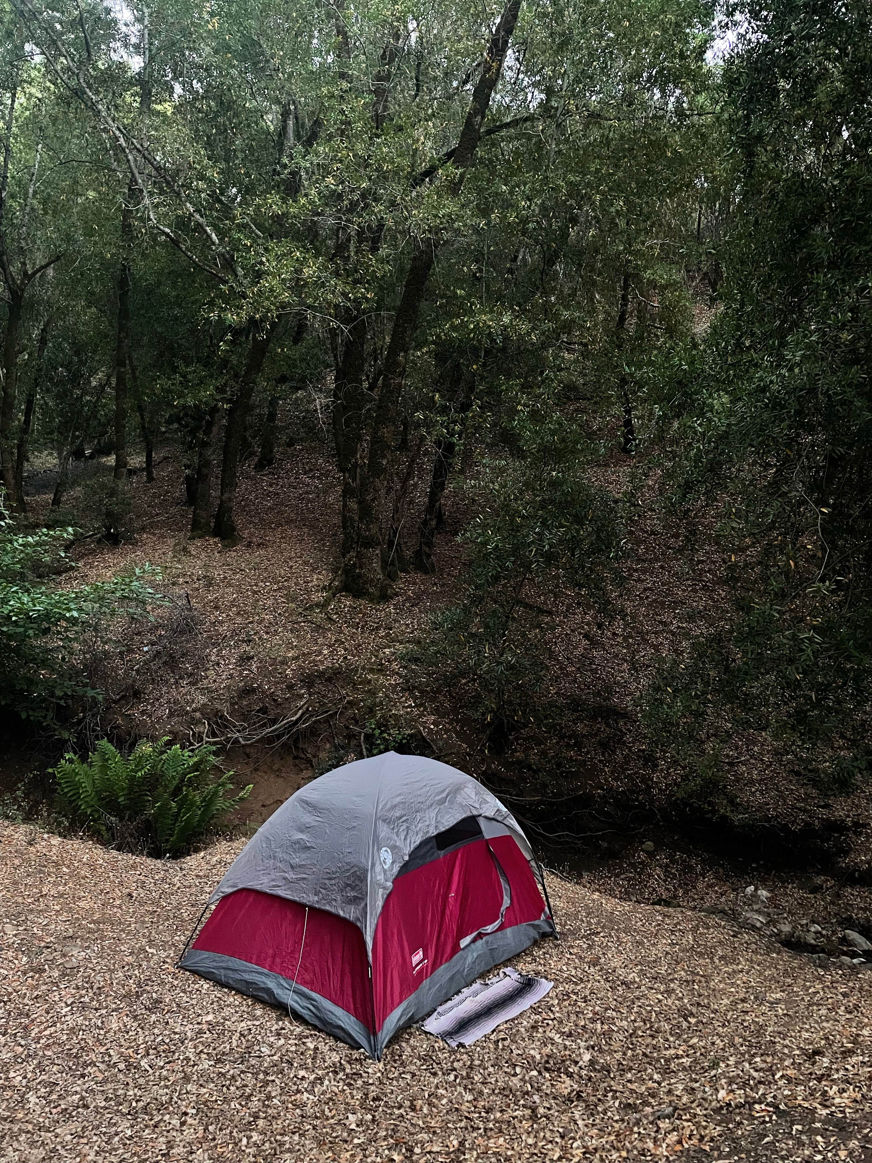 Camper submitted image from BLM Sheldon Creek - 3