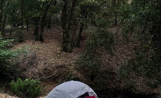 Summer A.'s photo of a dispersed camping area at BLM Sheldon Creek near Redwood Valley, CA