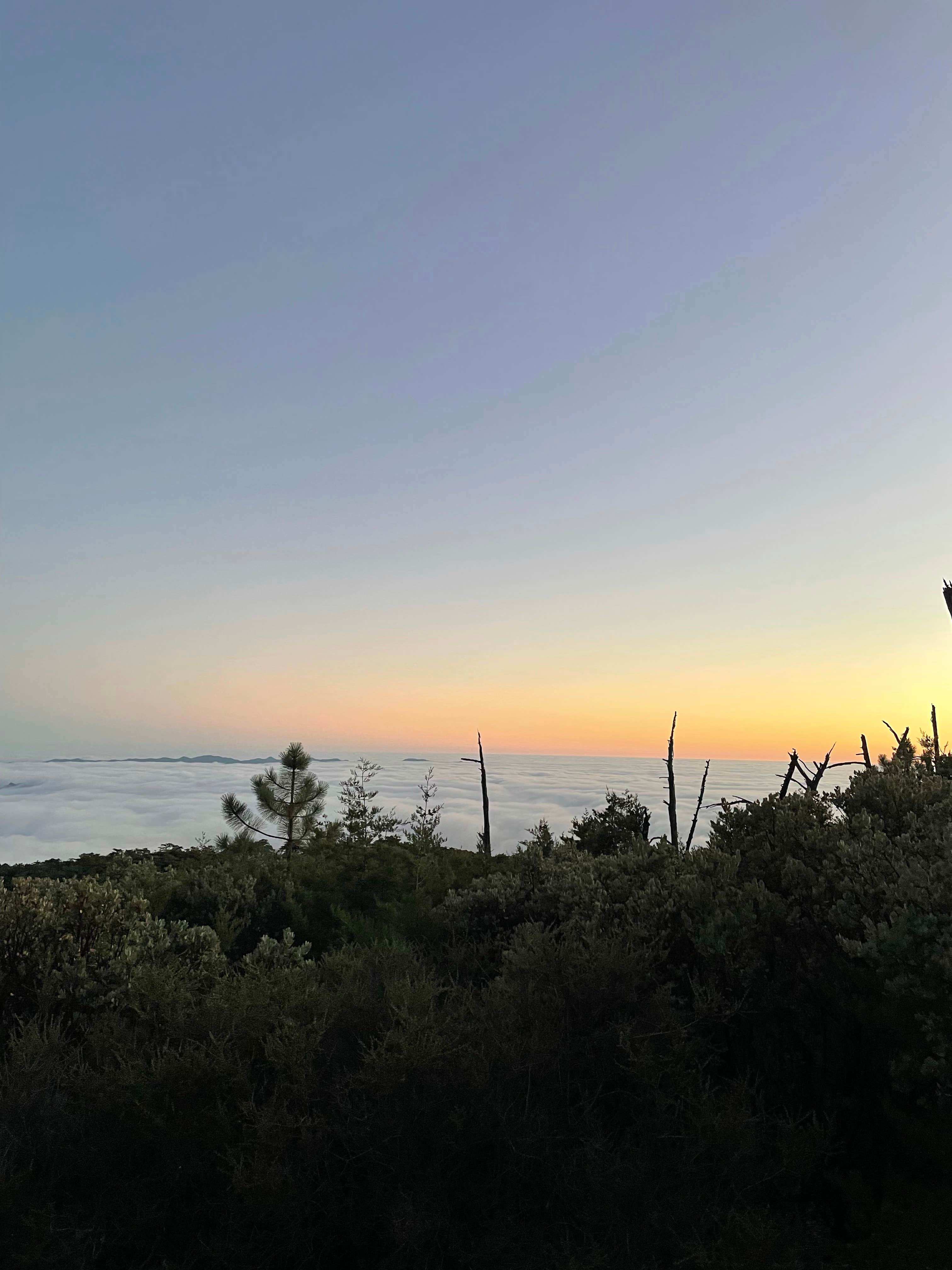 Summer A.'s photo of a dispersed camping area at TV Tower Road Dispersed Camping near Carrizo Plain National Monument