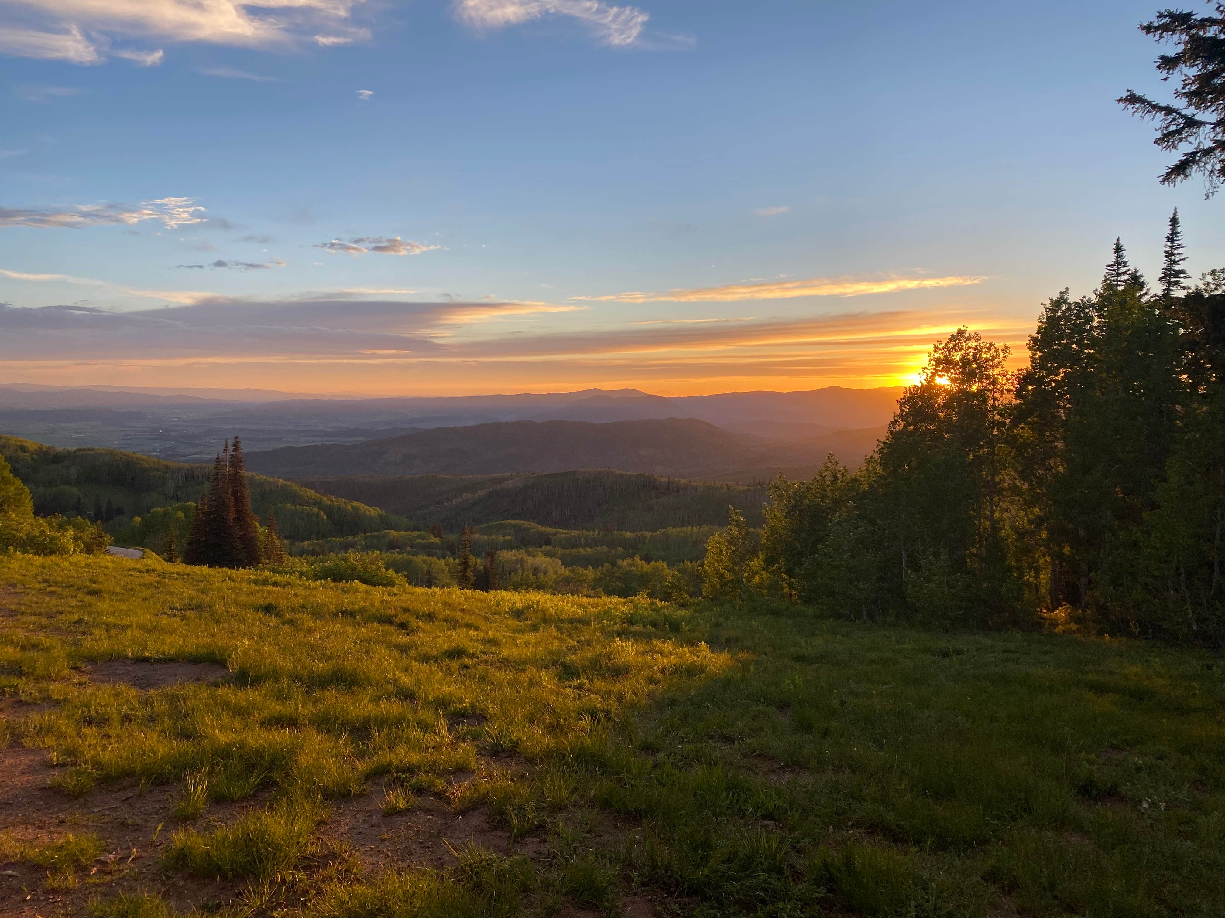Halie N.'s photo of a dispersed camping area at Buffalo Pass Dispersed near Coalmont, CO