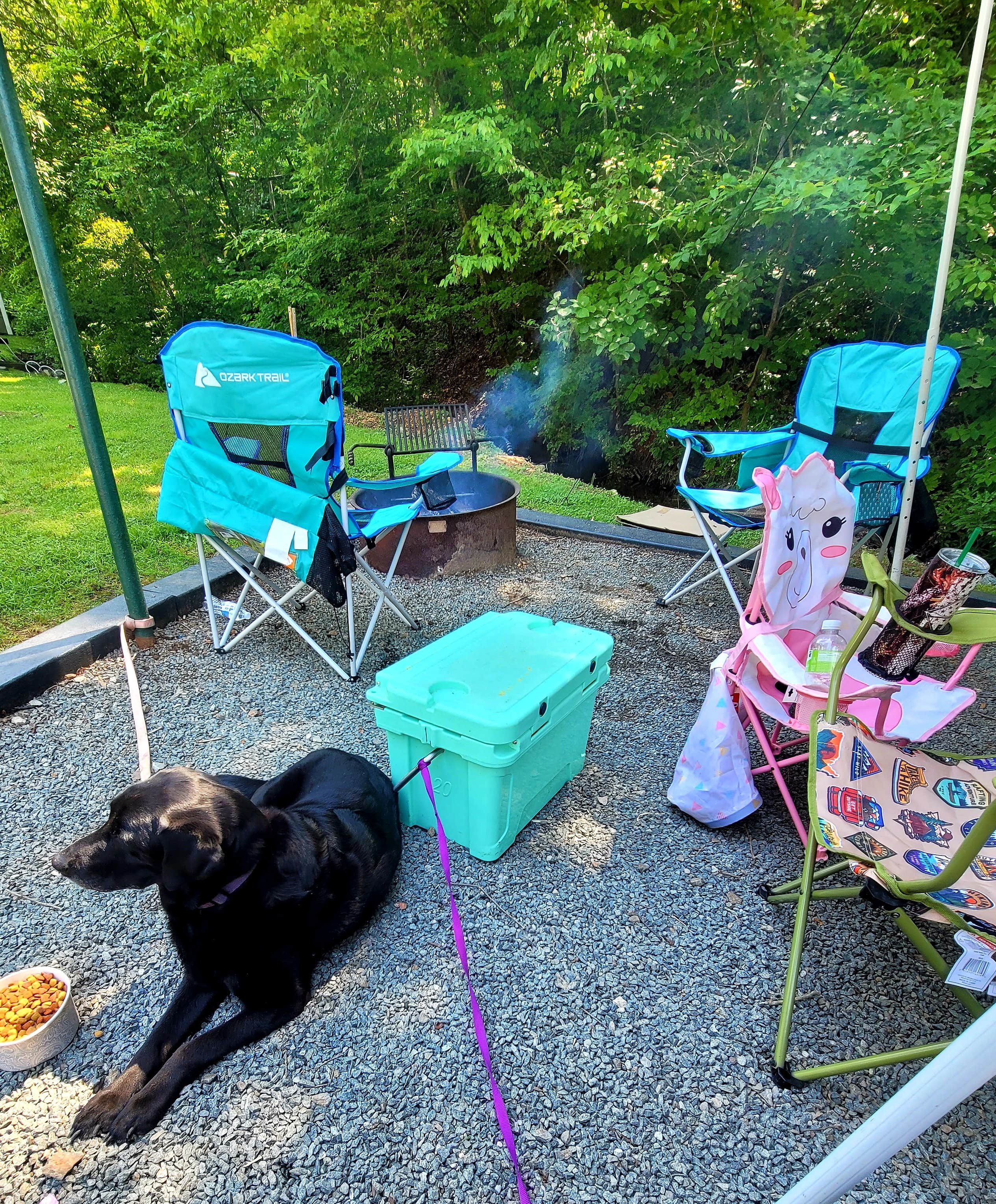 Tamara B.'s photo of camping with pets at Salthouse Branch Campground near Bent Mountain, VA