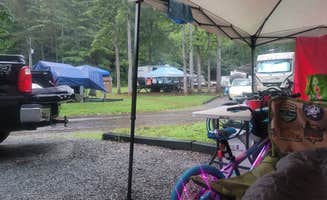 Tamara B.'s photo at Salthouse Branch Campground near Bassett, VA