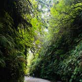 Review photo of Gold Bluffs Beach Campground — Prairie Creek Redwoods State Park by Autumn O., July 17, 2022