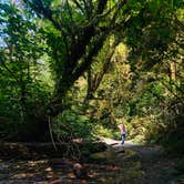 Review photo of Gold Bluffs Beach Campground — Prairie Creek Redwoods State Park by Autumn O., July 17, 2022