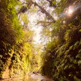 Review photo of Gold Bluffs Beach Campground — Prairie Creek Redwoods State Park by Autumn O., July 17, 2022