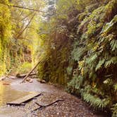 Review photo of Gold Bluffs Beach Campground — Prairie Creek Redwoods State Park by Autumn O., July 17, 2022