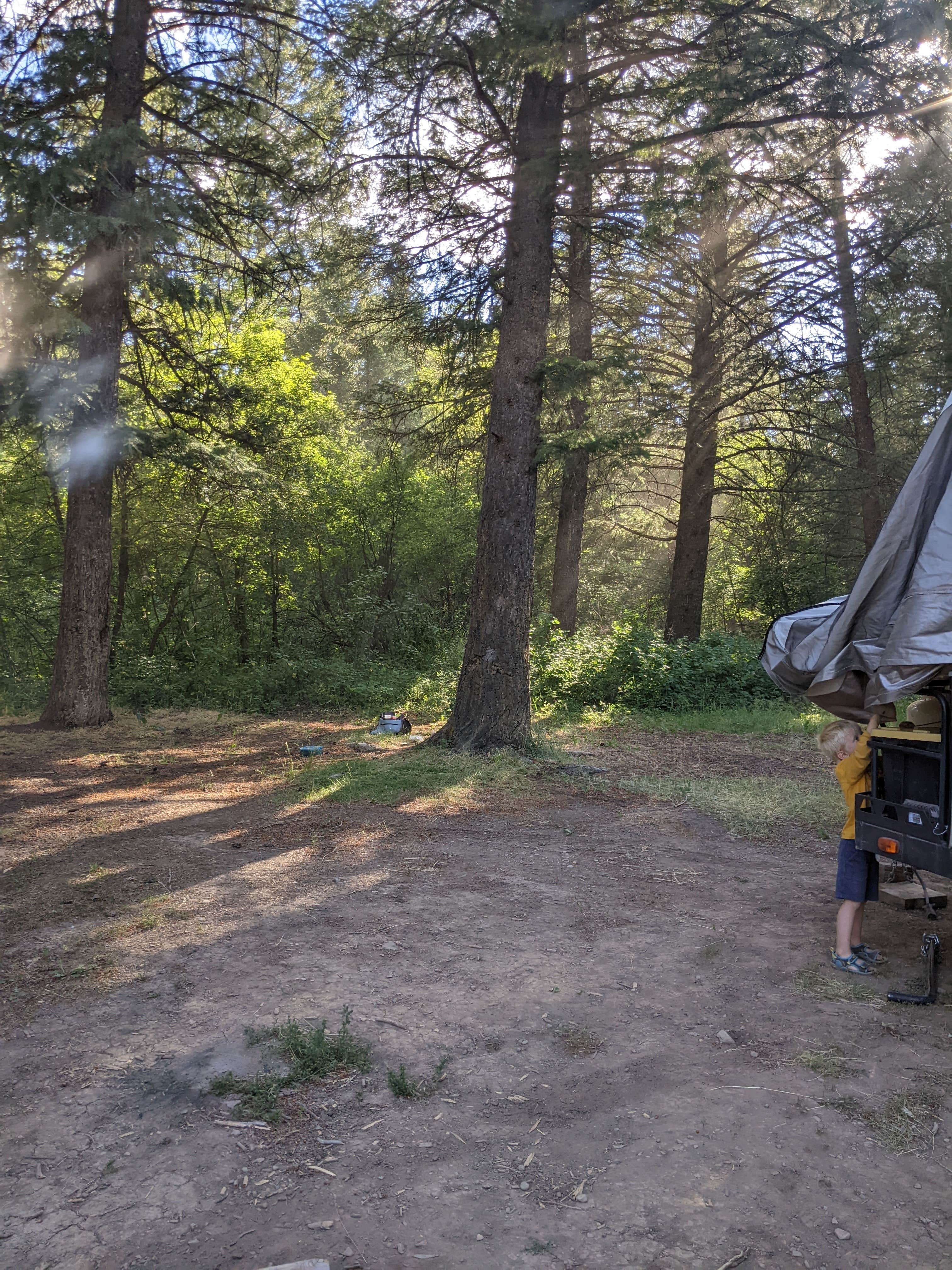 Donitza I.'s photo at Greys River Corridor near Alpine, WY
