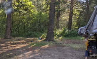 Donitza I.'s photo of a dispersed camping area at Greys River Corridor near Swan Valley, ID