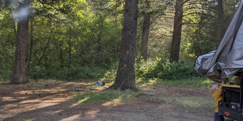 Camper submitted image from Bridge Dispersed