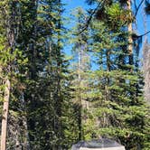 Review photo of Lost Creek Campground — Crater Lake National Park by Autumn O., July 17, 2022