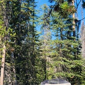 Review photo of Lost Creek Campground — Crater Lake National Park by Autumn O., July 17, 2022