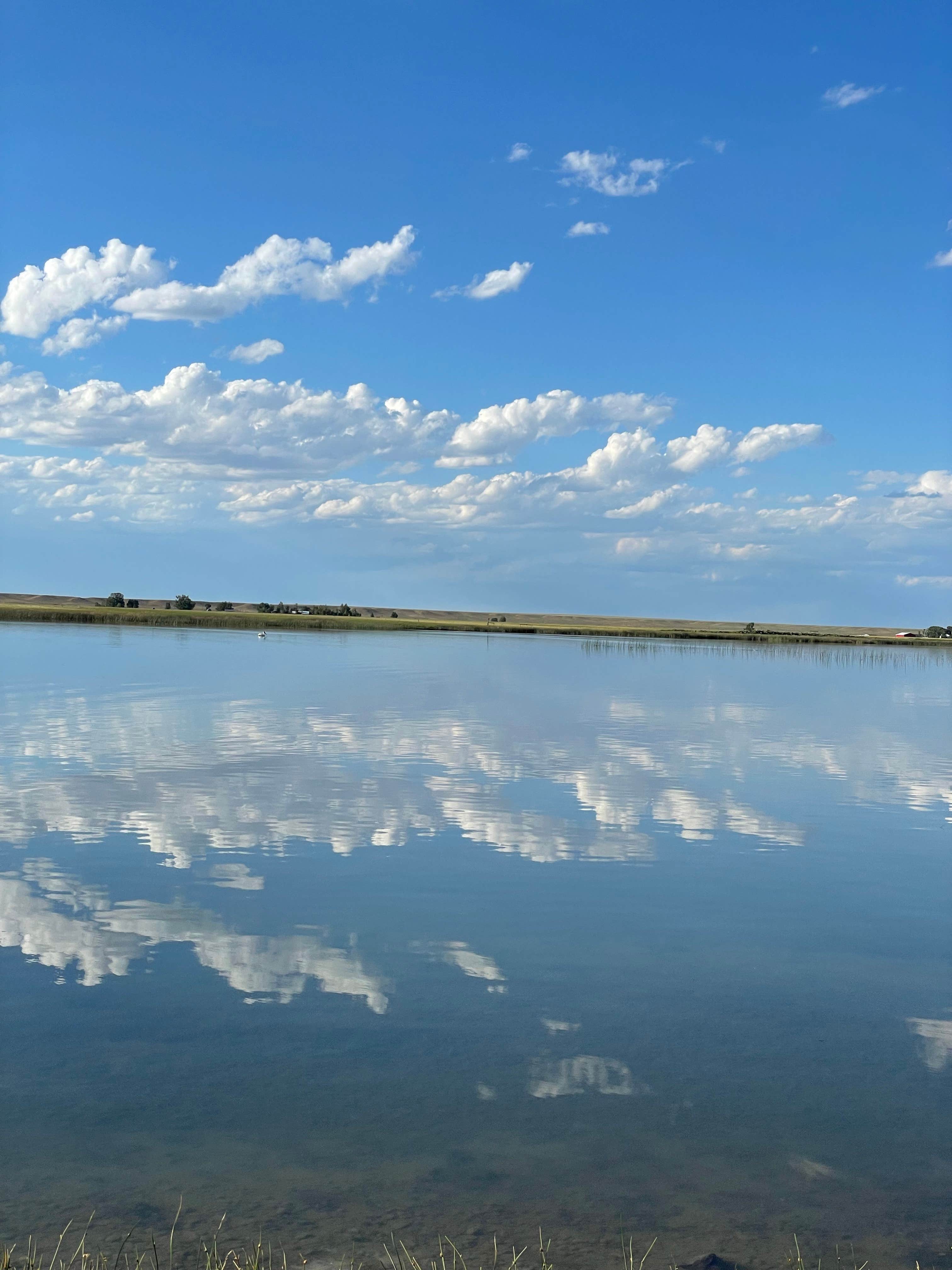 Camper-submitted photo at Meeboer Lake near Jelm, WY
