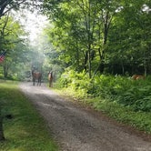 Review photo of Mile High Campground — Great Smoky Mountains National Park by Katrin M., July 17, 2022