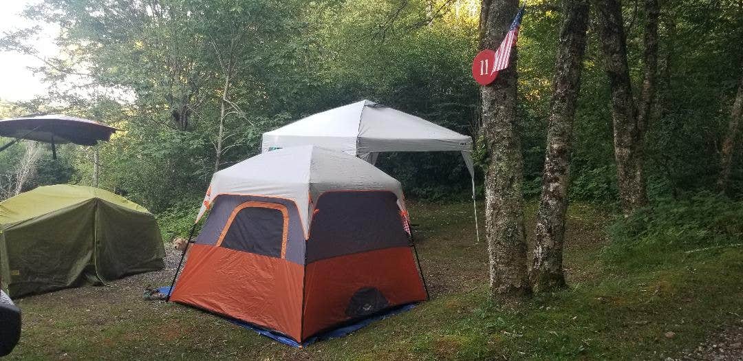 Katrin M.'s photo at Mile High Campground — Great Smoky Mountains National Park near Maggie Valley, NC