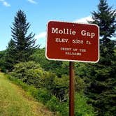 Review photo of Mile High Campground — Great Smoky Mountains National Park by Katrin M., July 17, 2022