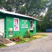 Review photo of Mile High Campground — Great Smoky Mountains National Park by Katrin M., July 17, 2022