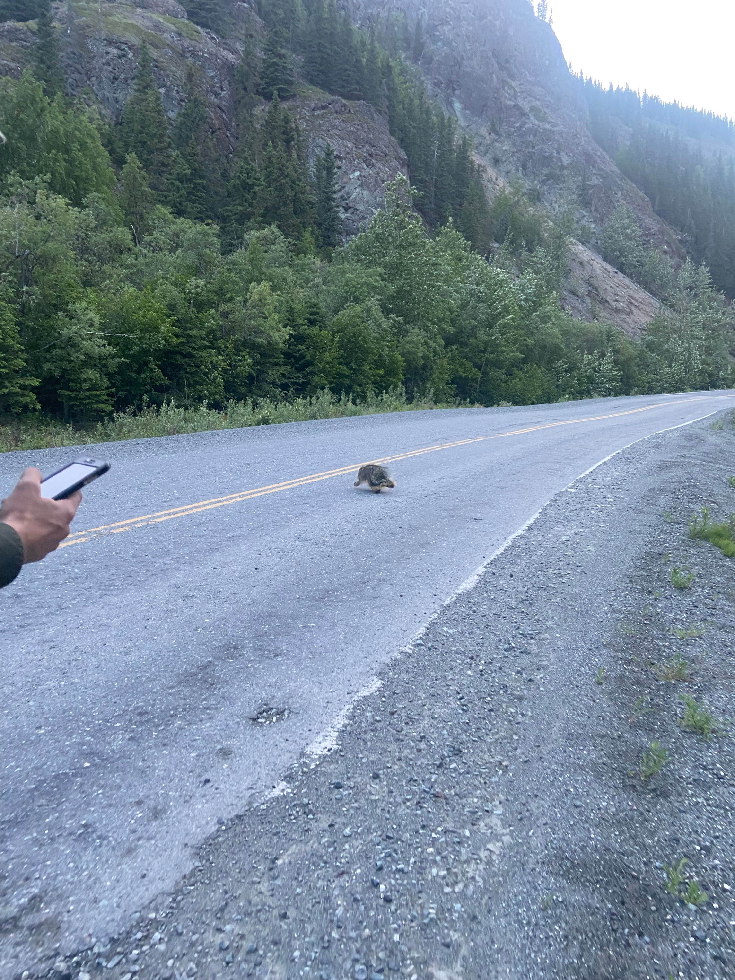 Camper-submitted photo at Wrangell View Campground near Chitina, AK