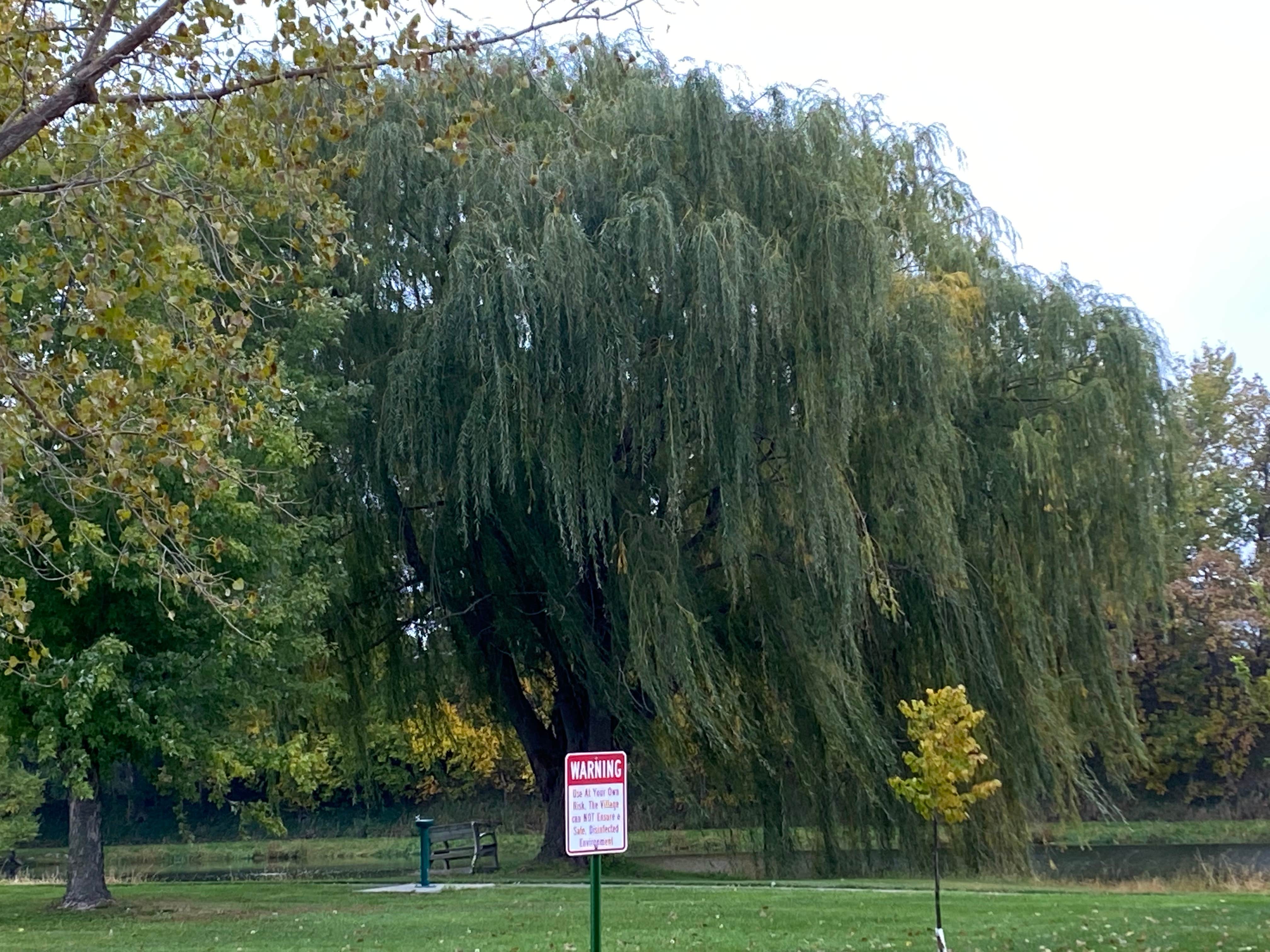 Camper-submitted photo at Cottonwood Park near Ashton, NE
