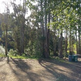 Review photo of Sibley Volcanic Regional Preserve by Elliott B., July 19, 2018