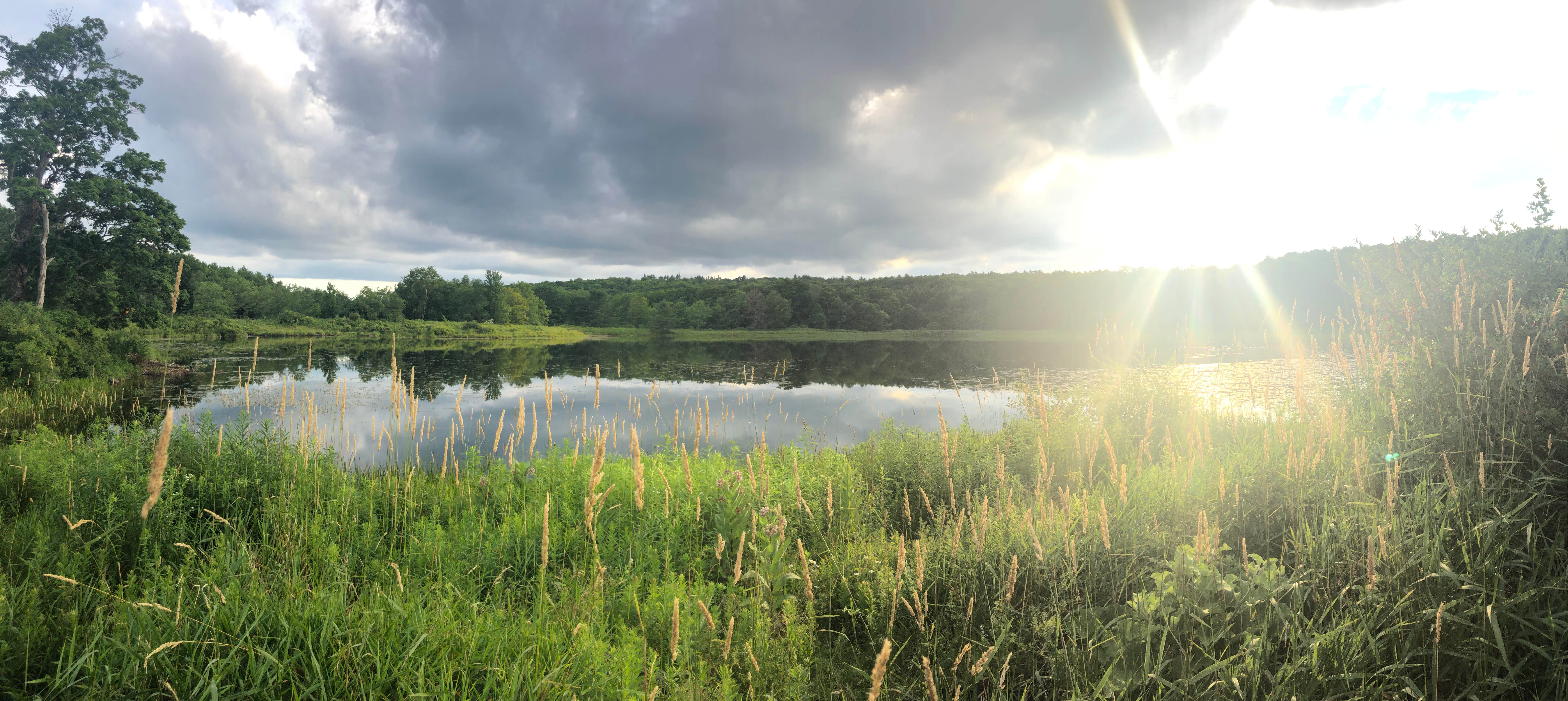 Camper-submitted photo at A Promise to Gaia/Garden of One near Guilderland, NY