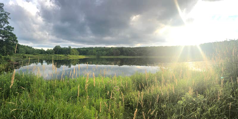 Camper submitted image from A Promise to Gaia/Garden of One