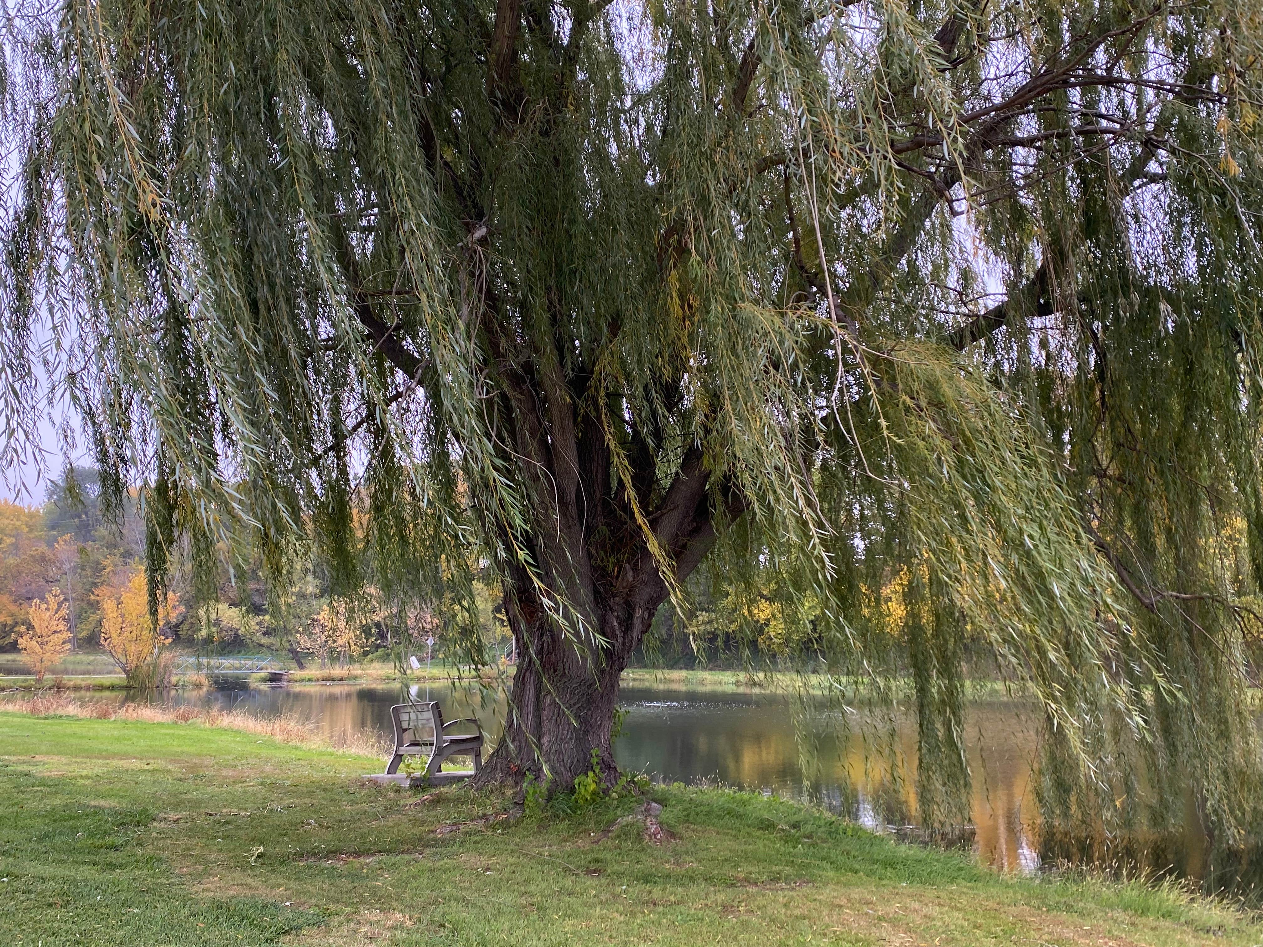 Camper-submitted photo at Cottonwood Park near Ashton, NE