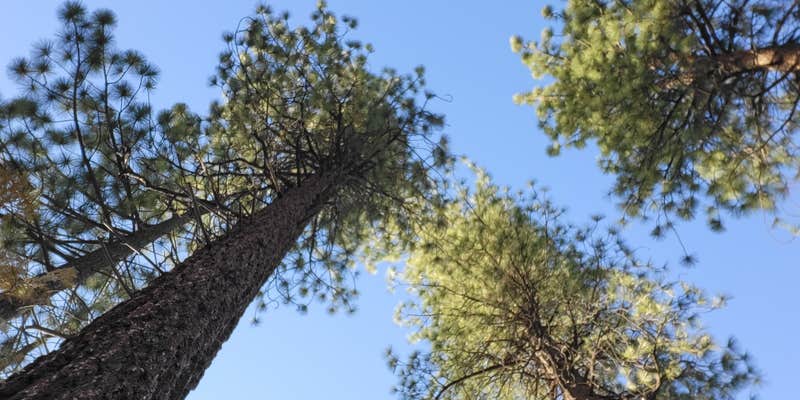Camper submitted image from Dome Rock Dispersed Camping