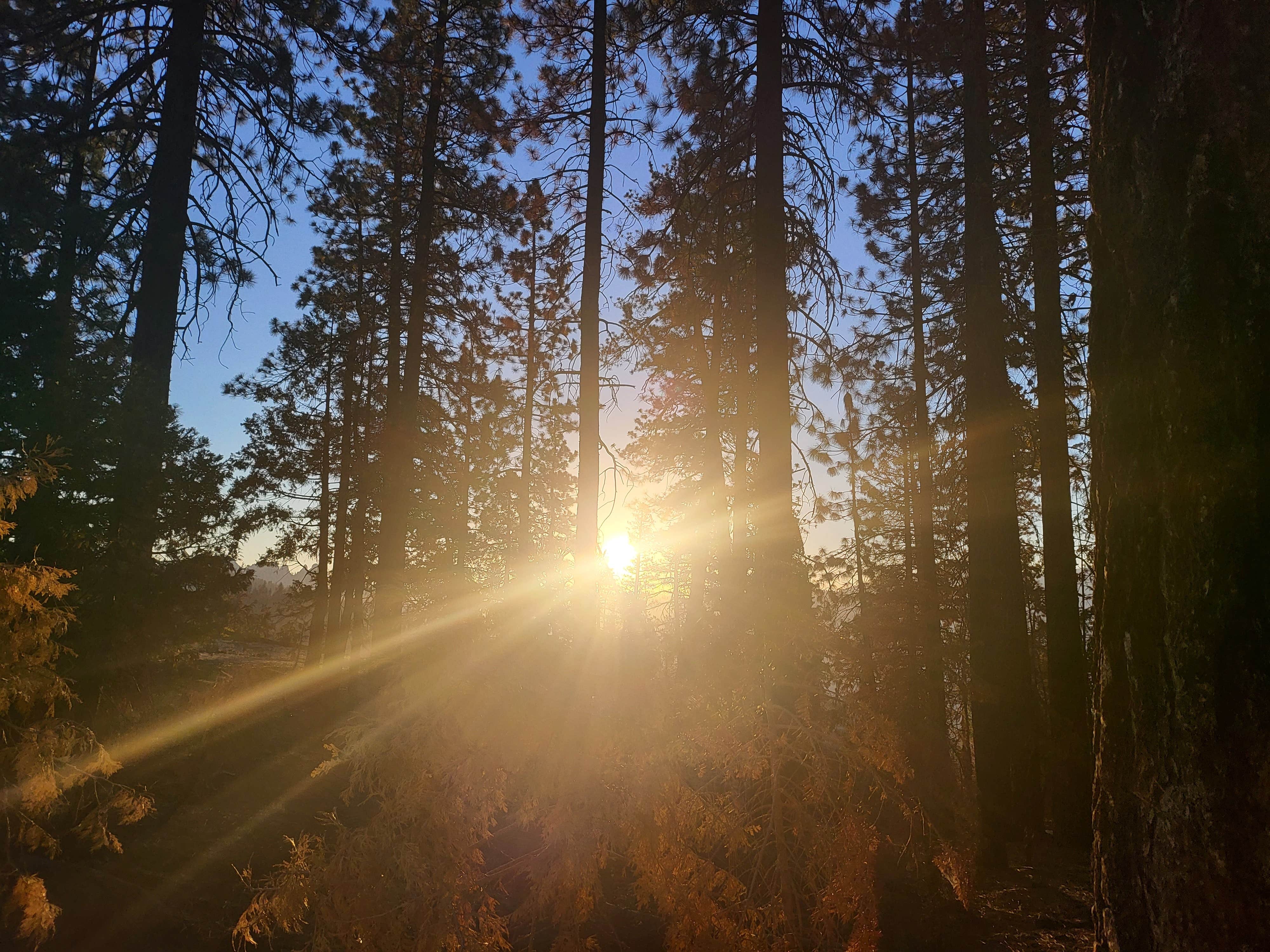 Camper-submitted photo at Dome Rock Dispersed Camping near Sequoia National Forest