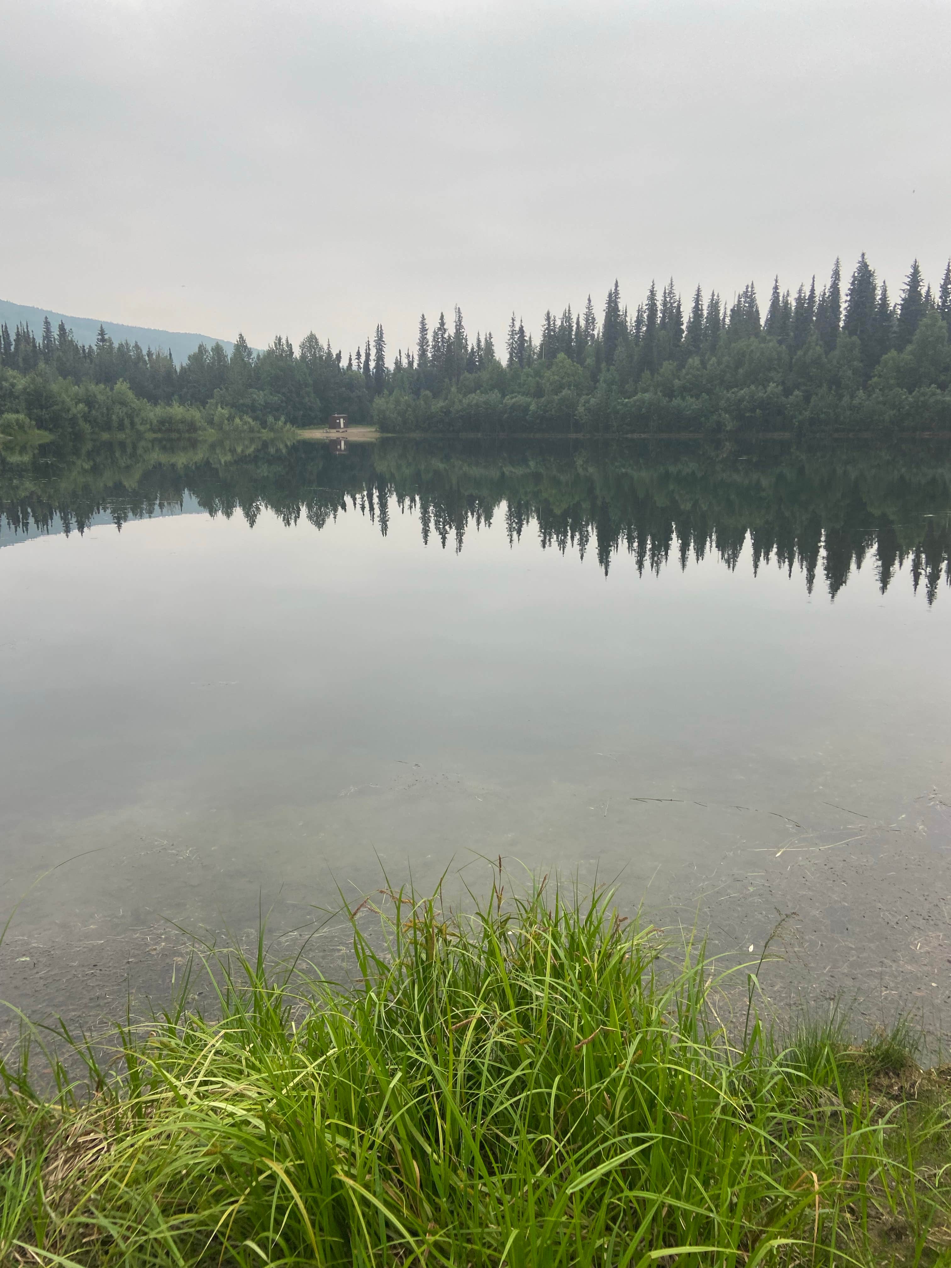 Riley N.'s photo of a dispersed camping area at Mile 48, Chena Hot Springs Road near Badger, AK