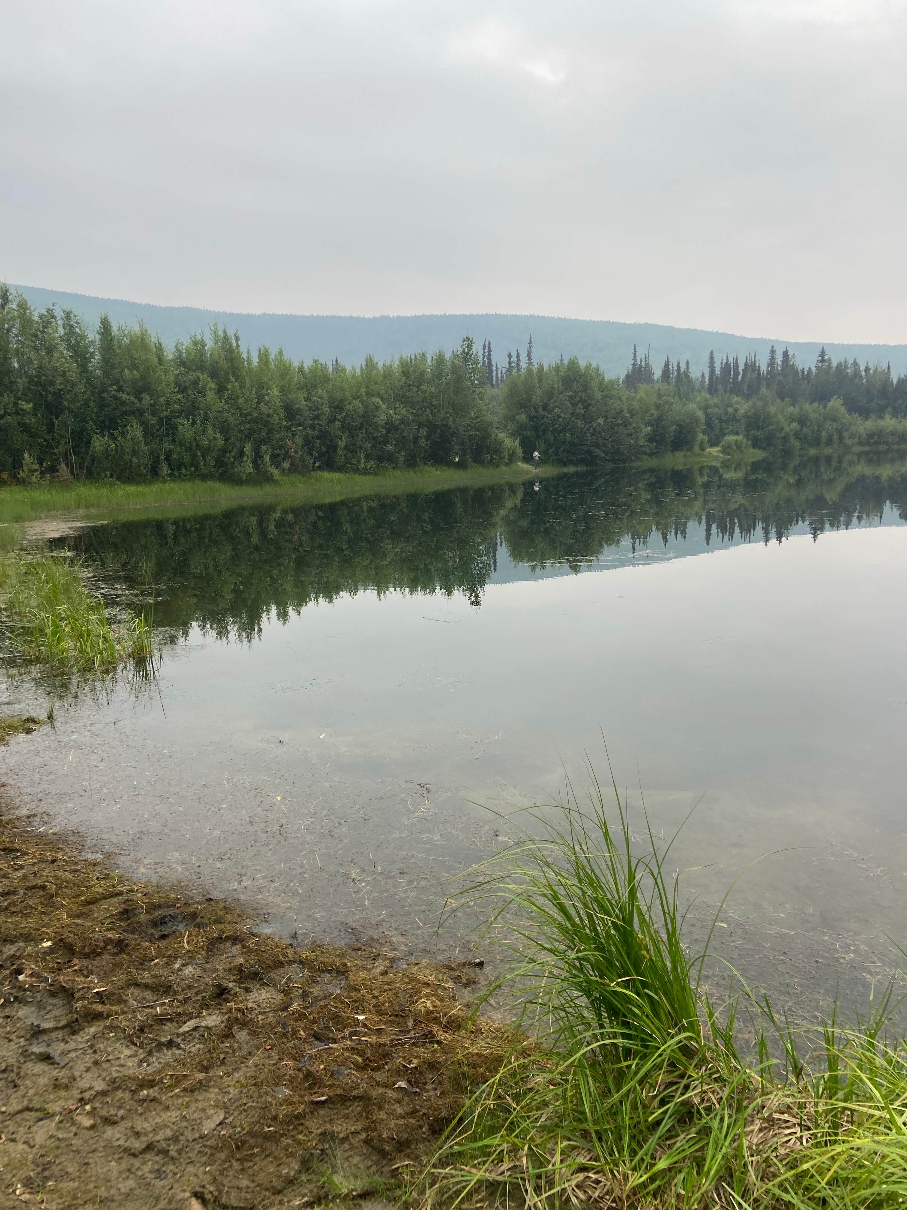 Camper-submitted photo at Mile 48, Chena Hot Springs Road near Badger, AK