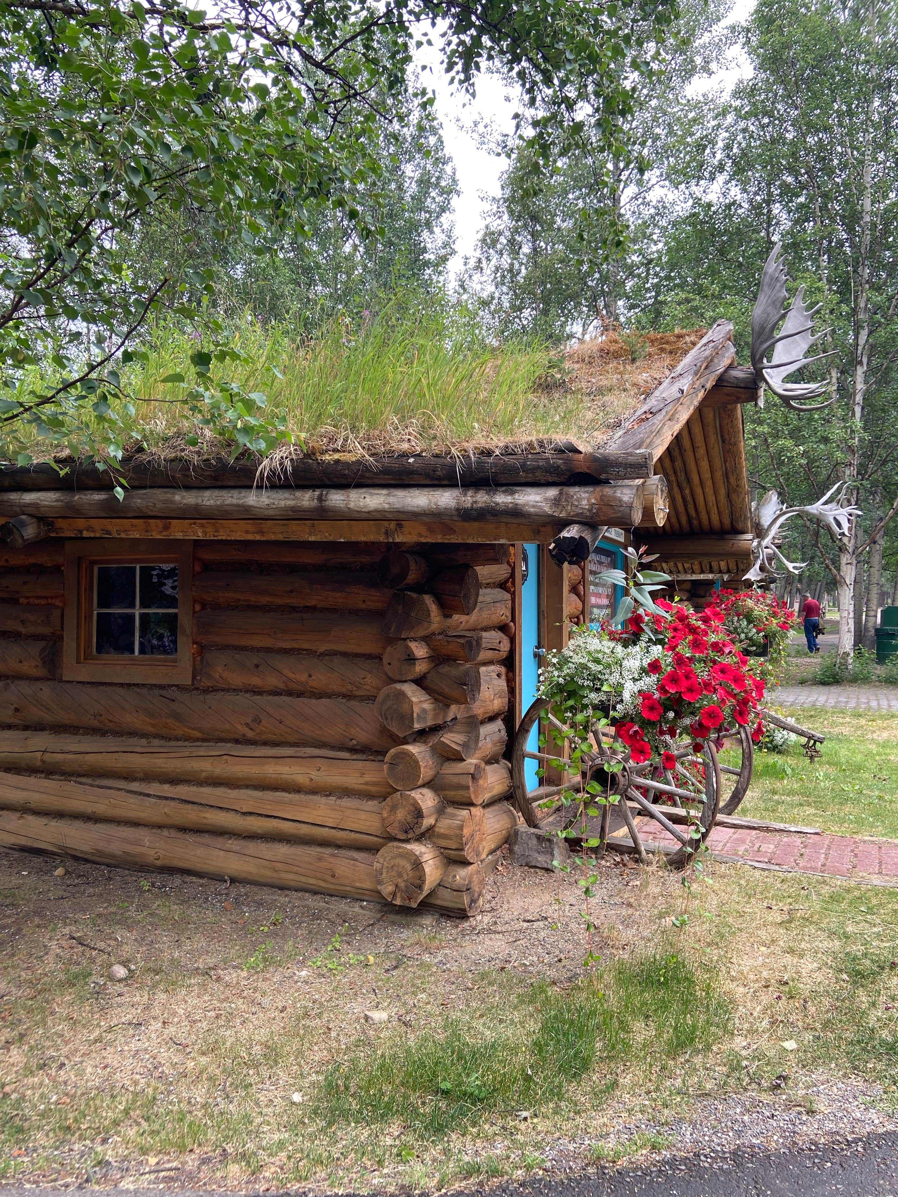 Riley N.'s photo of glamping accommodations at Chena Hot Springs Resort near Eielson AFB, AK