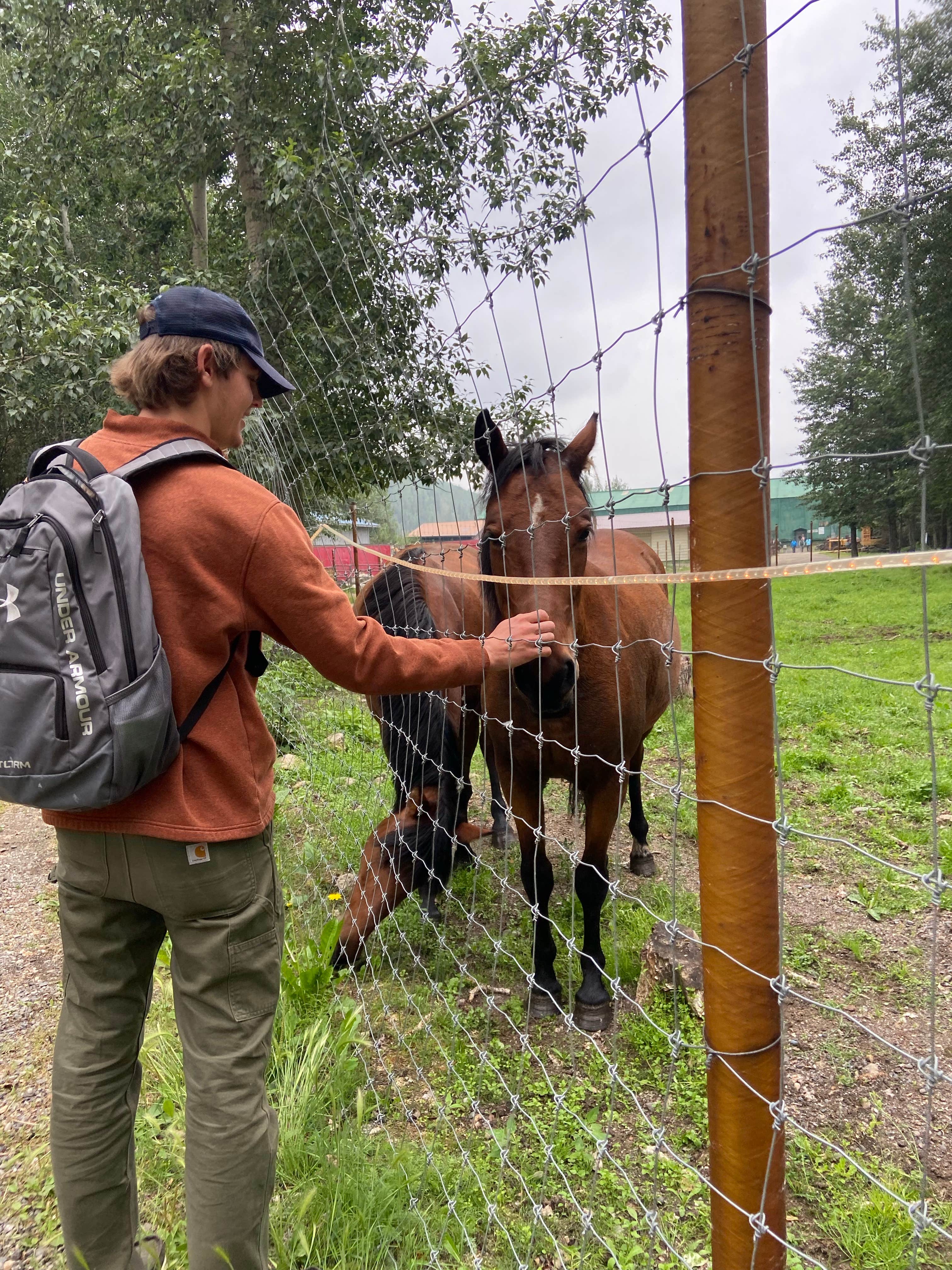 Riley N.'s photo of camping with a horse at Chena Hot Springs Resort near Fairbanks, AK