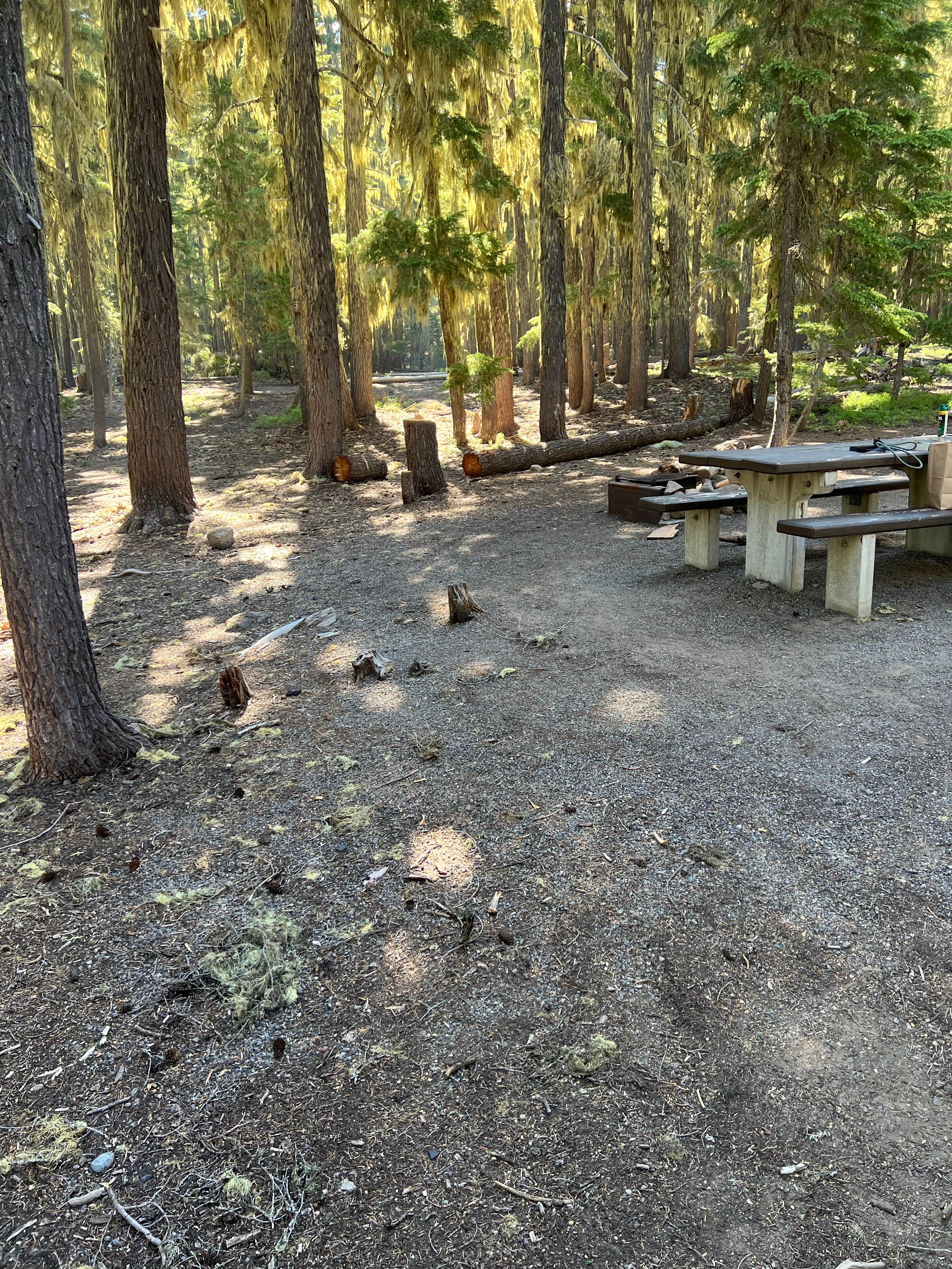 Camper submitted image from Islet Campground - 3