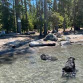 Review photo of Islet Campground by Dawn K., July 17, 2022