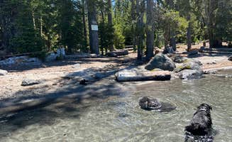 Dawn K.'s photo of camping with pets at Islet Campground near Westfir, OR