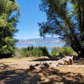 Review photo of Clear Lake Campground by edith , July 17, 2022