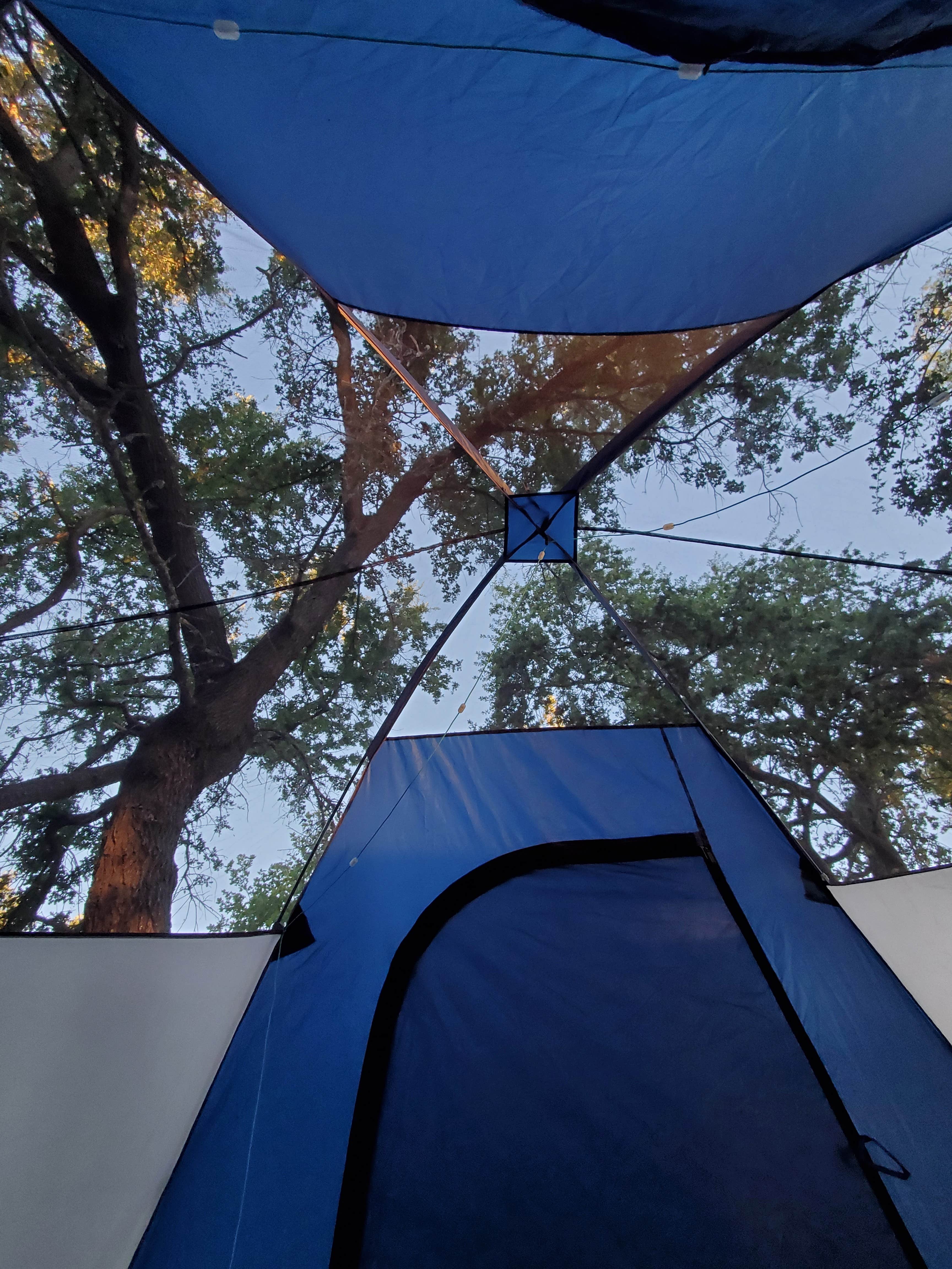 edith's photo at Clear Lake Campground near Pope Valley, CA