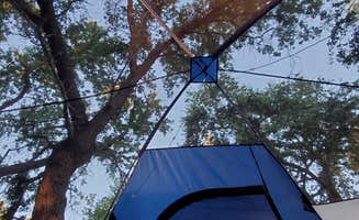 edith's photo at Clear Lake Campground near Rumsey, CA