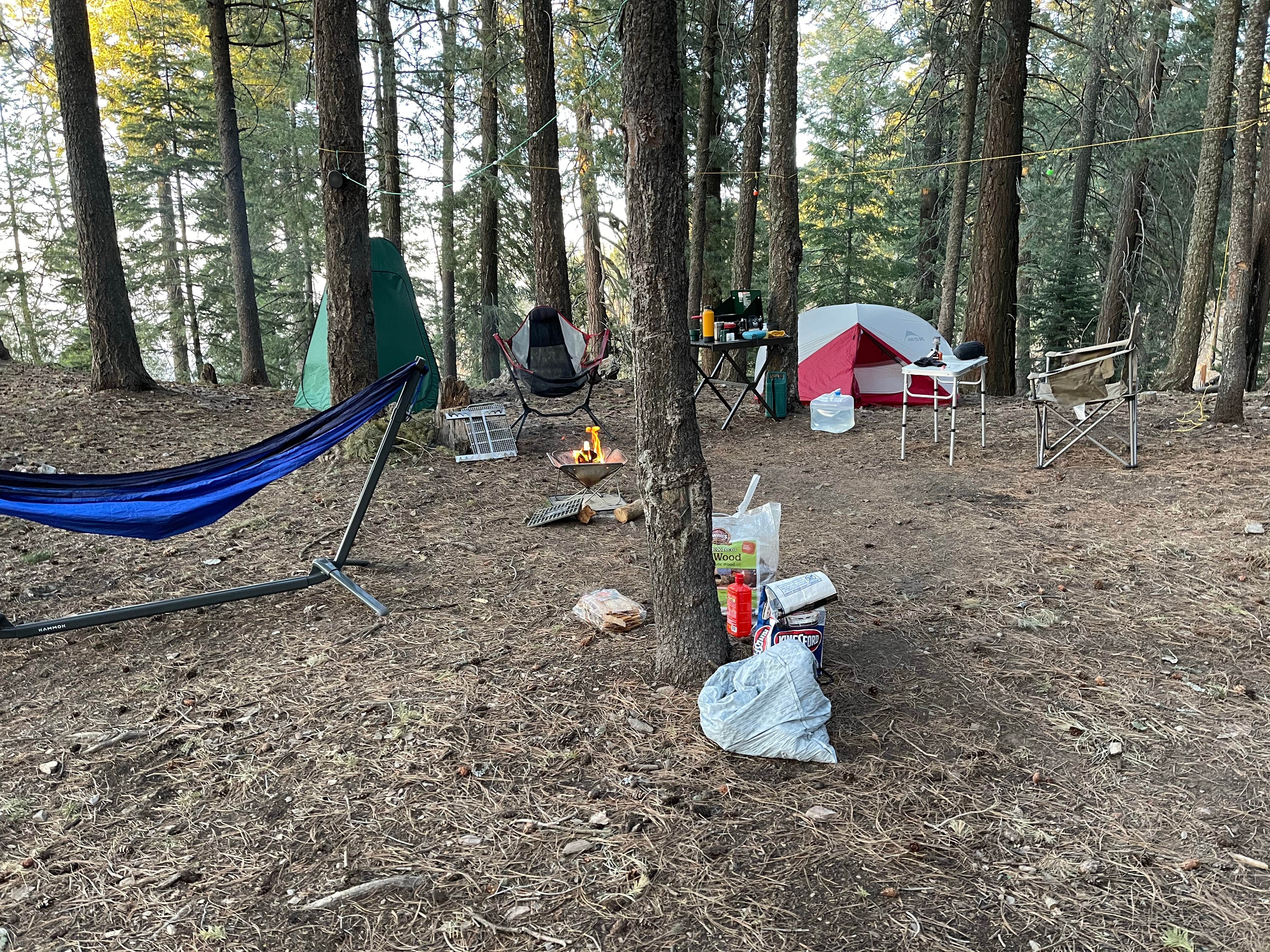 D Scott D.'s photo at Bear Wallow Campground (historical) in Arizona