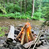 Review photo of Savage River State Forest by Raina G., July 18, 2022
