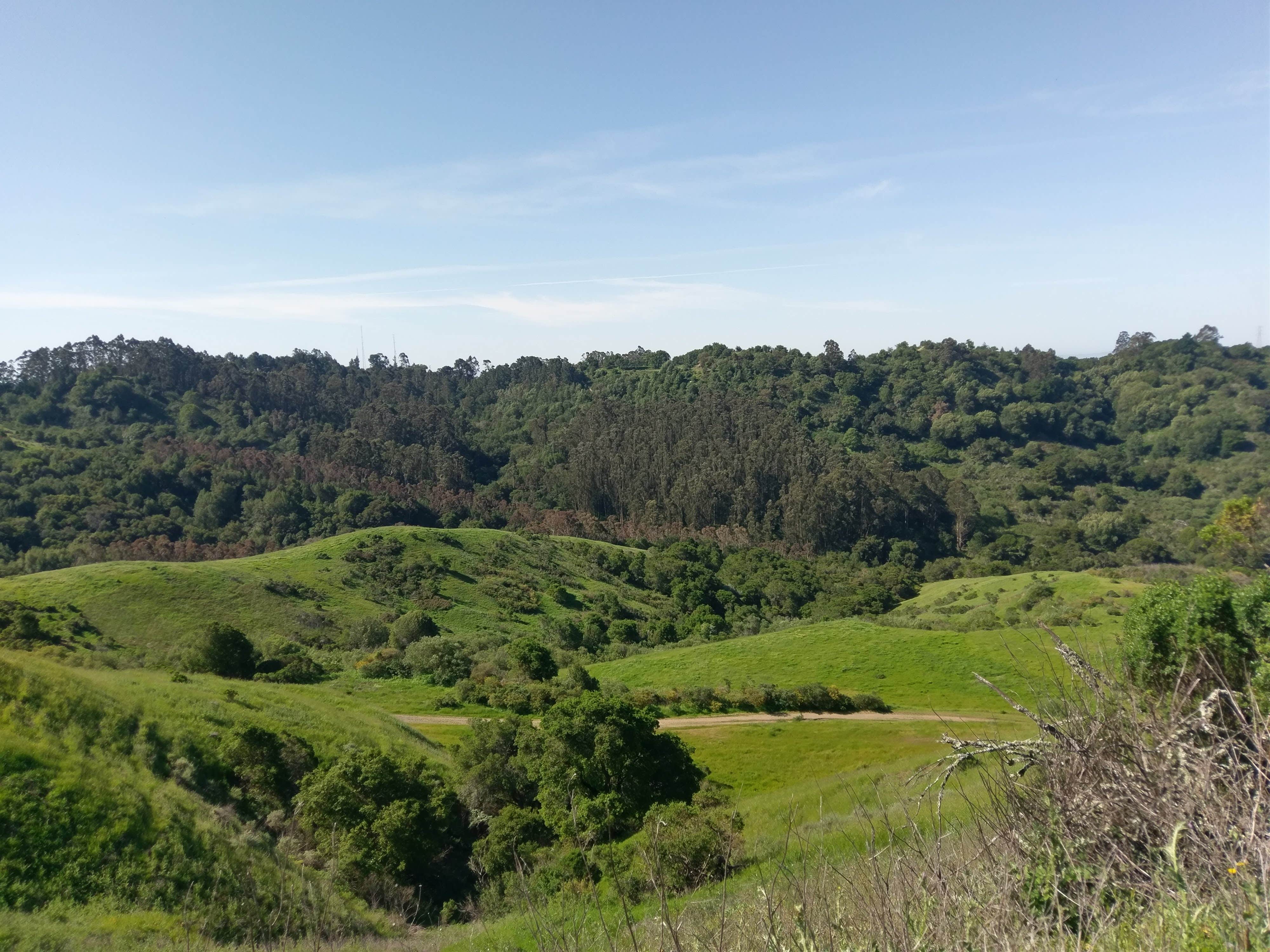 Camper-submitted photo at Sibley Volcanic Regional Preserve near Alamo, CA
